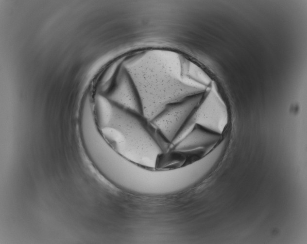 X0000113201334200910081242