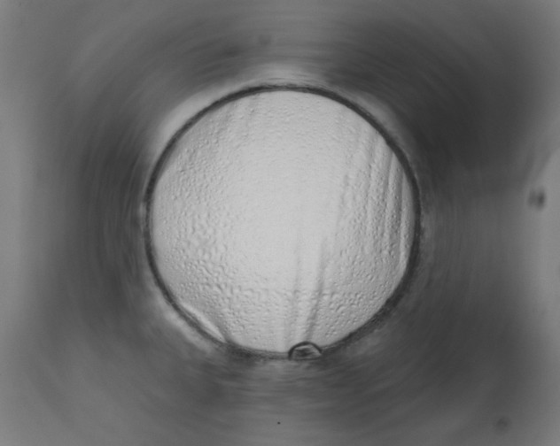 X0000113201335200910081242