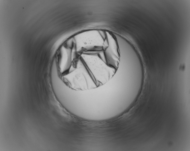 X0000113201336200910081242