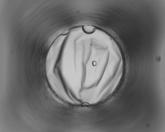 X0000113201337200910081242