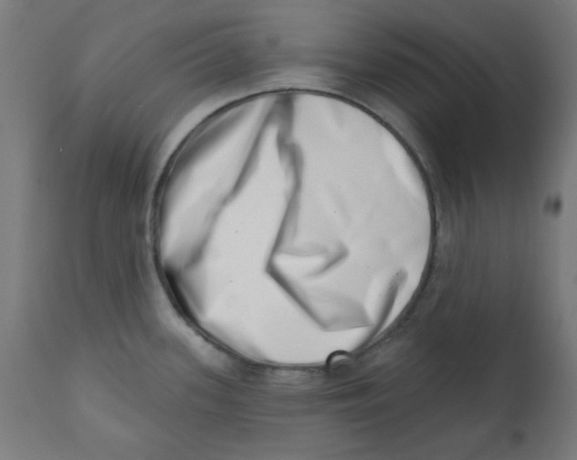 X0000113201339200910081242