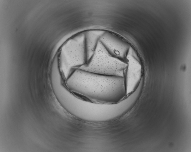 X0000113201340200910081242