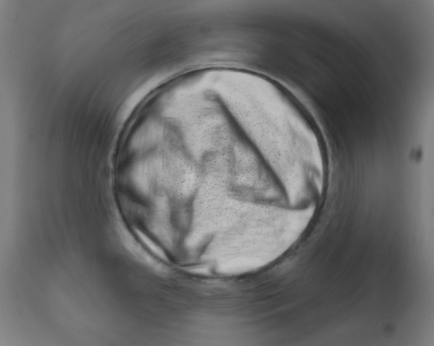 X0000113201341200910081242