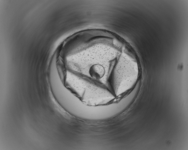 X0000113201342200910081242