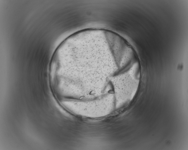 X0000113201343200910081242