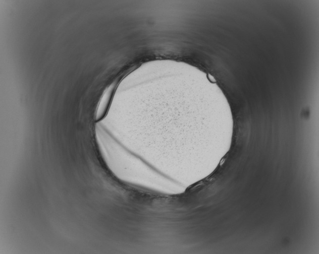 X0000113201345200910081241