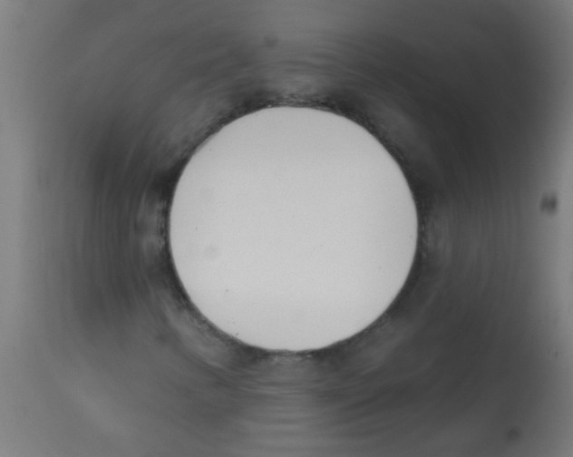 X0000113201346200910081241