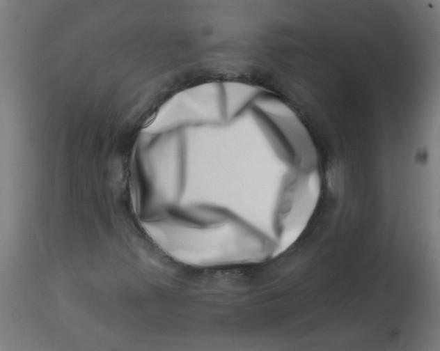 X0000113201347200910081241