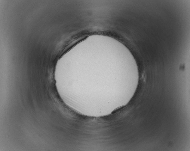 X0000113201348200910081241