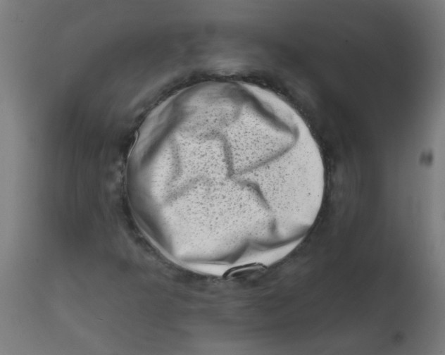 X0000113201349200910081241