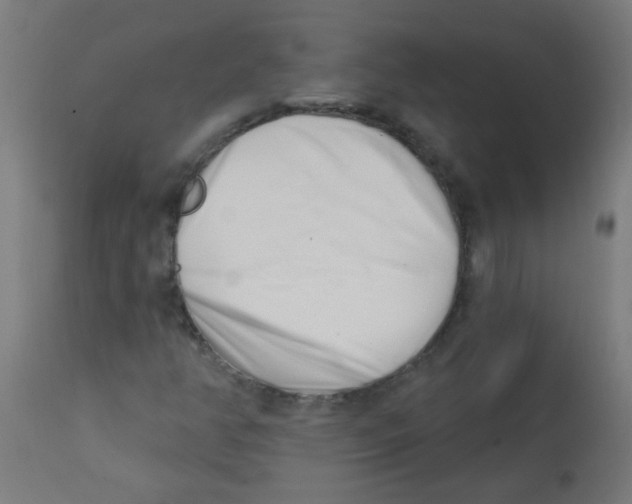 X0000113201350200910081241