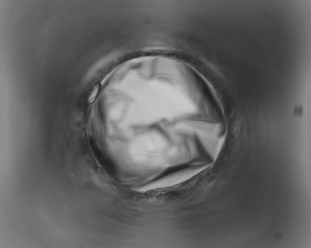 X0000113201351200910081241