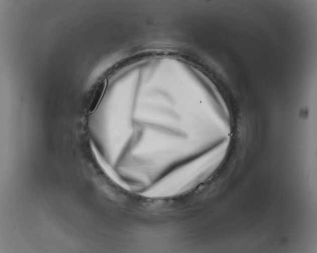 X0000113201352200910081241