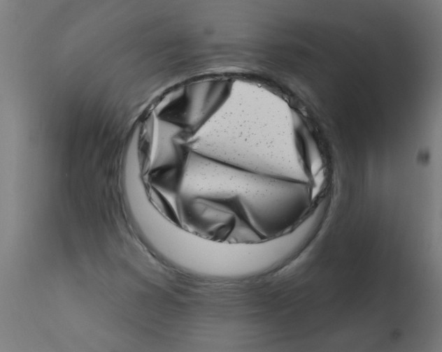 X0000113201353200910081241