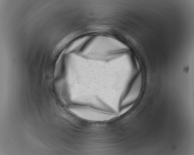 X0000113201354200910081241