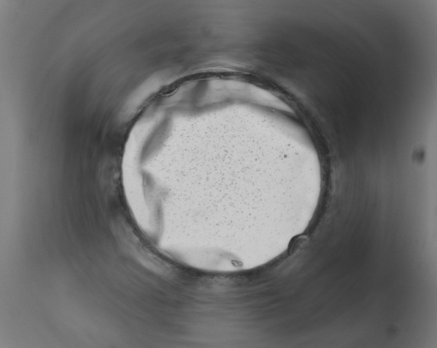 X0000113201355200910081241