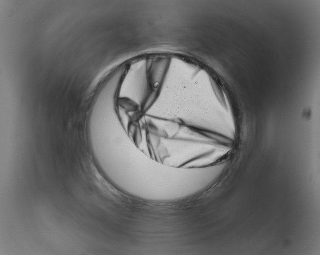 X0000113201356200910081241