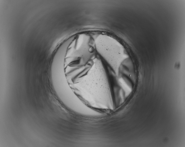 X0000113201357200910081241