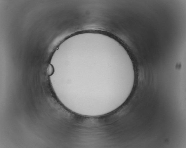 X0000113201358200910081241