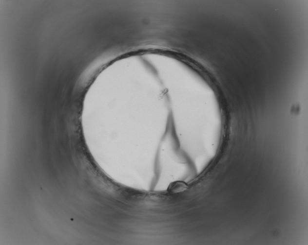 X0000113201359200910081241