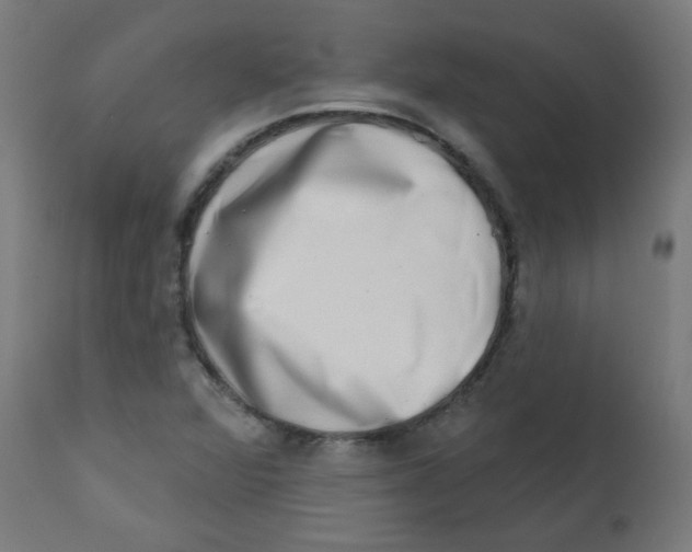 X0000113201360200910081241