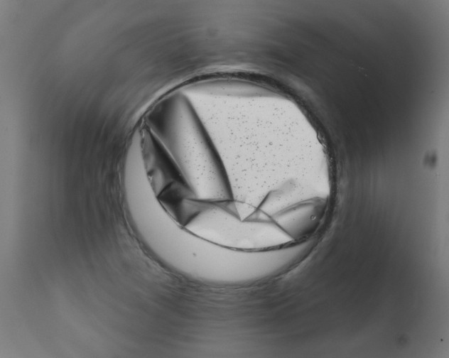 X0000113201361200910081241