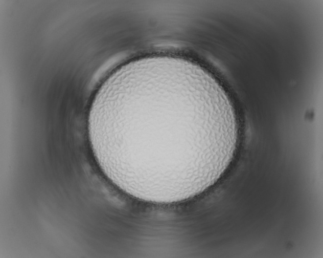 X0000113201362200910081241