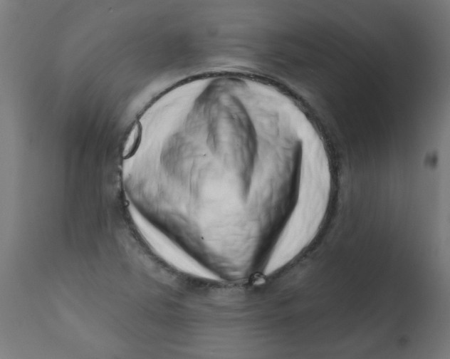 X0000113201363200910081241