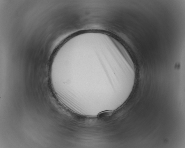 X0000113201364200910081241