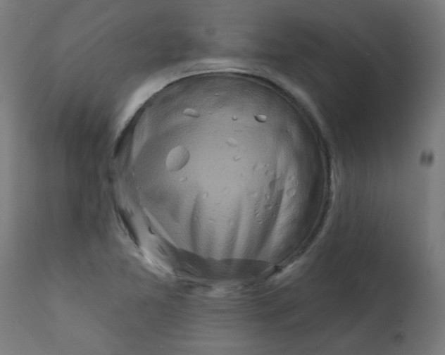 X0000113201365200910081241