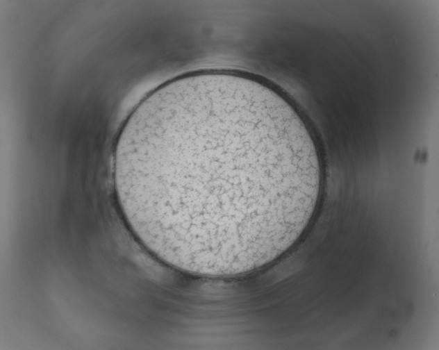 X0000113201366200910081241