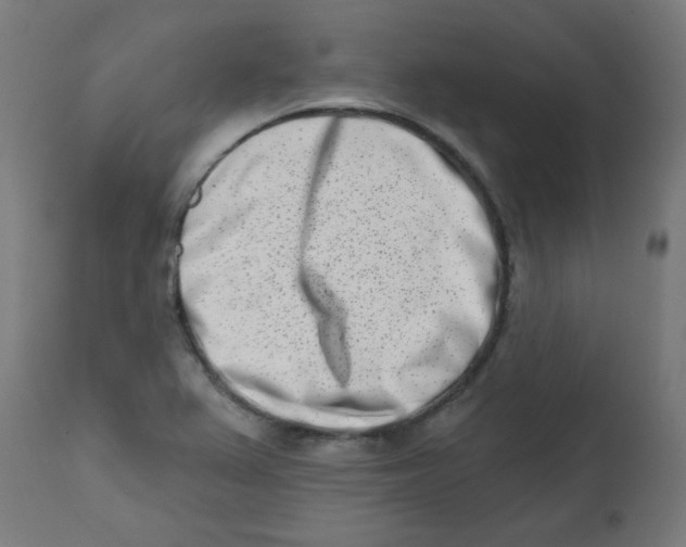 X0000113201367200910081241