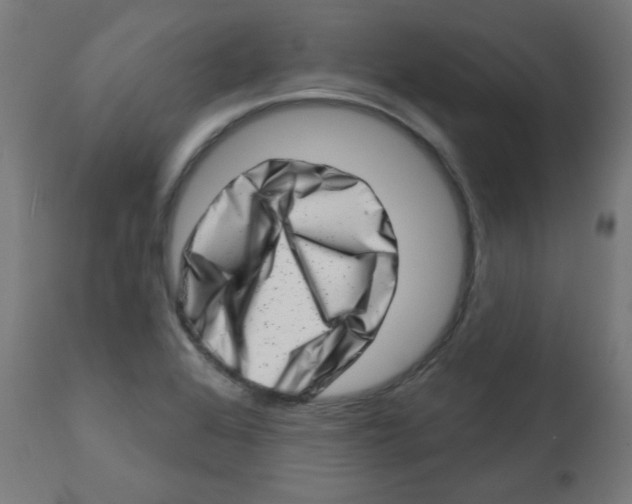 X0000113201368200910081241