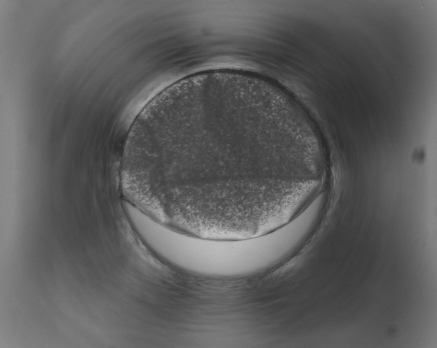 X0000113201369200910081241