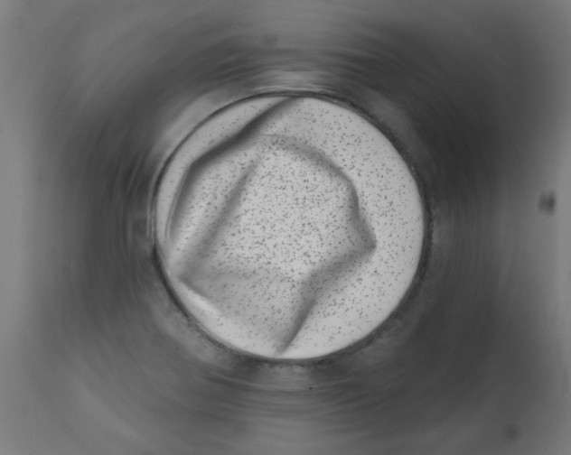 X0000113201370200910081241