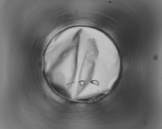 X0000113201371200910081241