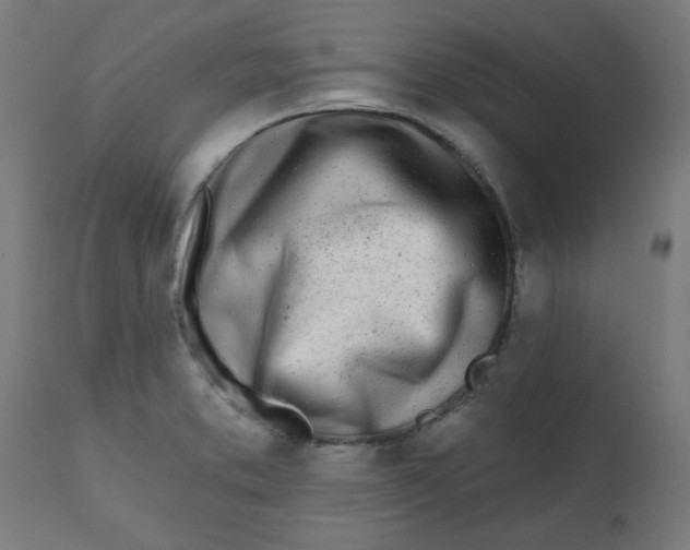 X0000113201373200910081241