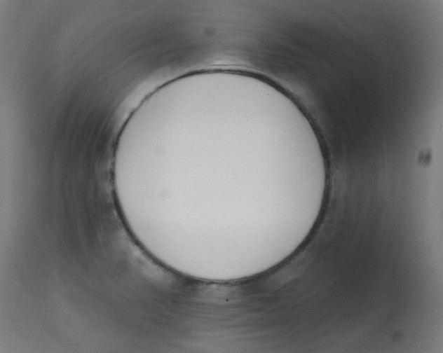 X0000113201374200910081241