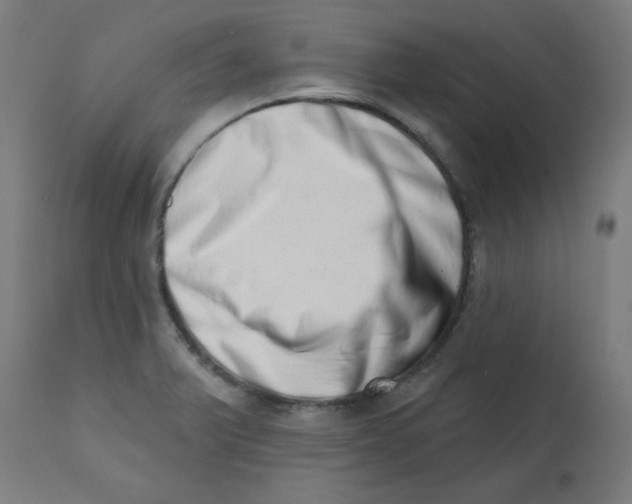 X0000113201375200910081241