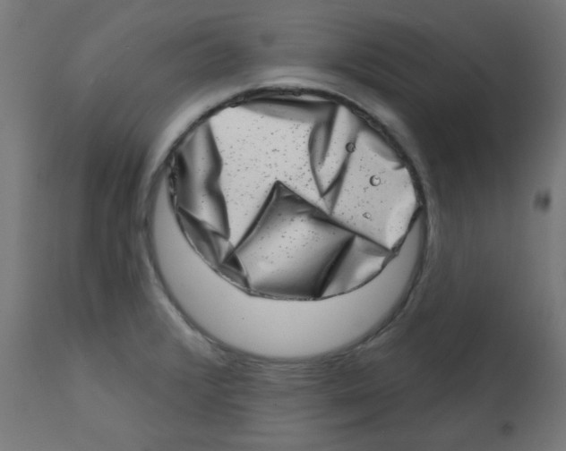 X0000113201376200910081241