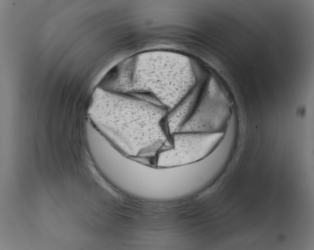 X0000113201377200910081241