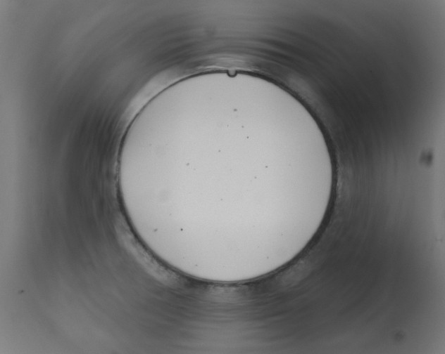 X0000113201378200910081241