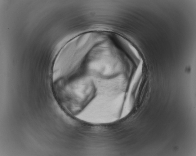 X0000113201379200910081241