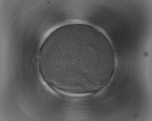 X0000113201381200910081241