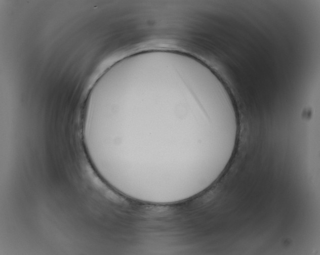 X0000113201382200910081241