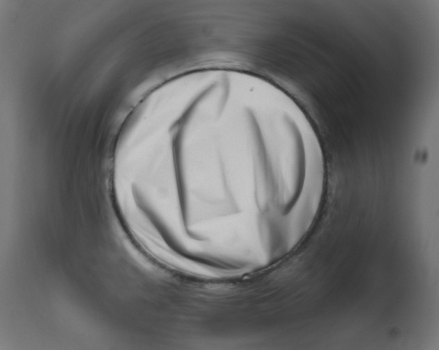 X0000113201383200910081241