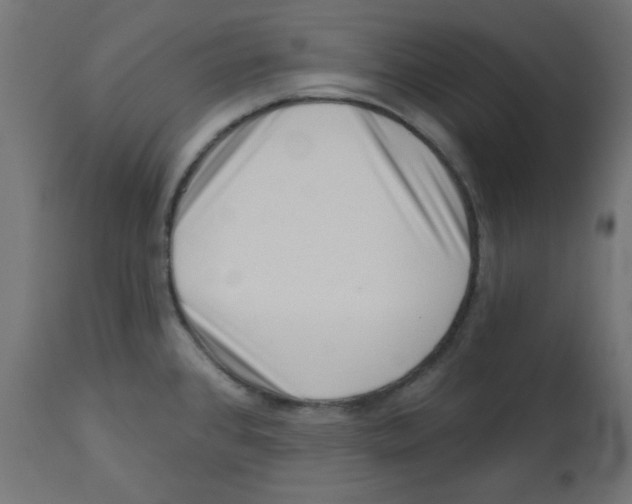 X0000113201384200910081241