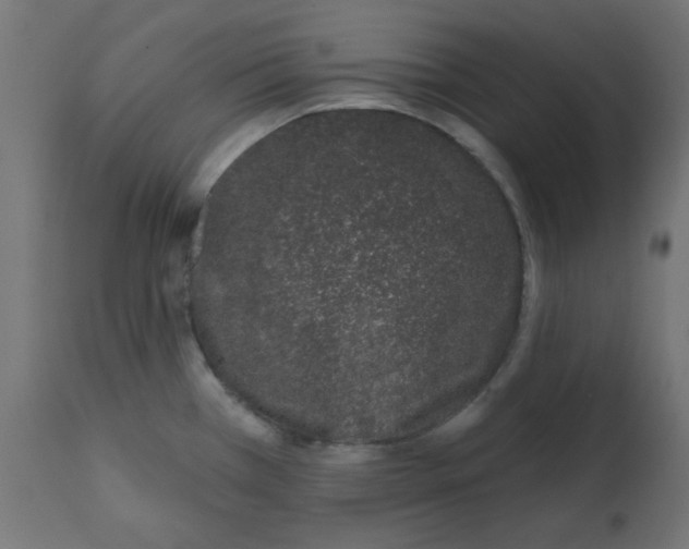 X0000113201385200910081241