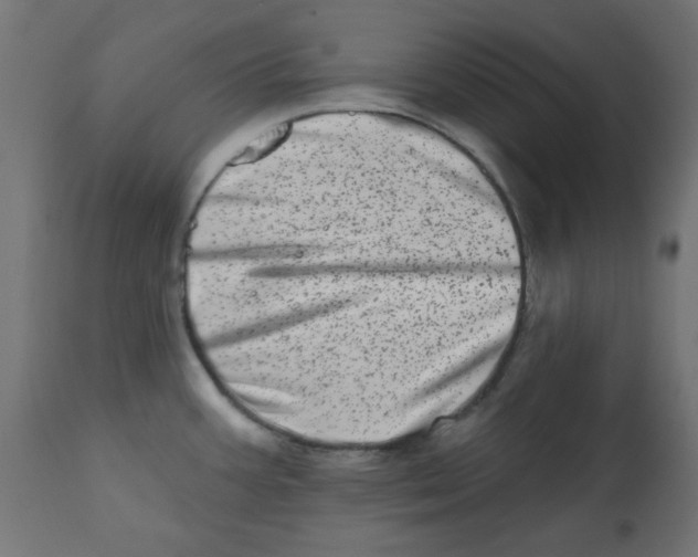 X0000113201387200910081241