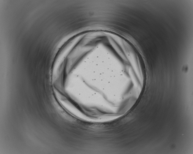 X0000113201388200910081241